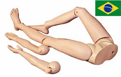 Manequim para Treinamento de Primeiros Socorros Adulto Real - Imagem 2