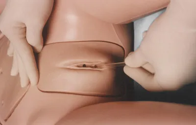 Manequim Adulto com Orgãos - Imagem 6