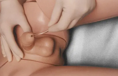 Manequim Adulto com Orgãos - Imagem 7