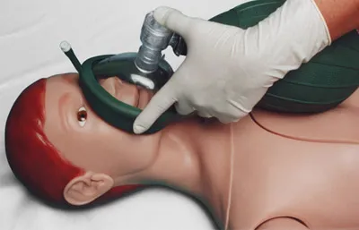 Manequim Adulto com Orgãos - Imagem 9