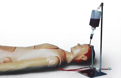 Manequim Adulto com Orgãos - Imagem 12