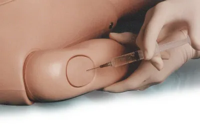 Manequim Adulto com Orgãos - Imagem 13