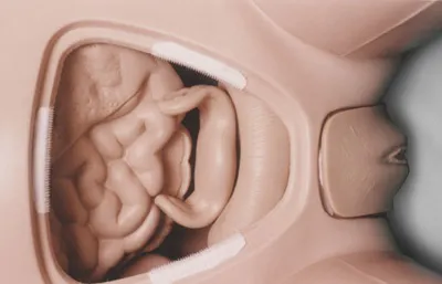 Manequim Adulto com Orgãos - Imagem 17