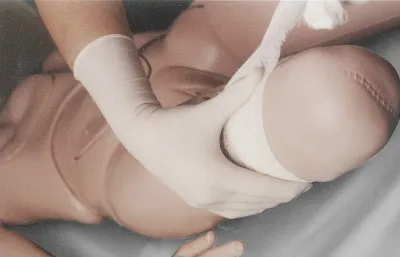 Manequim Adulto com Orgãos - Imagem 2