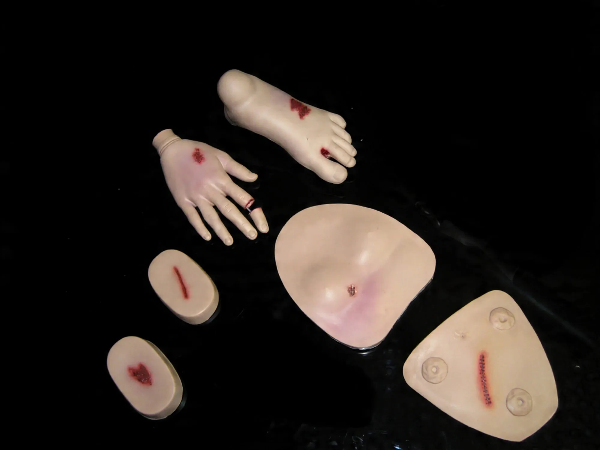 Manequim Adulto com Orgãos - Imagem 4