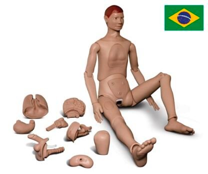 Manequim Adulto com Orgãos