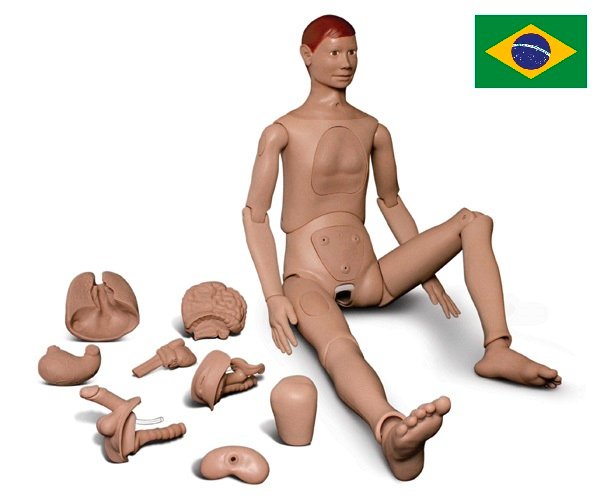 Manequim Adulto com Orgãos