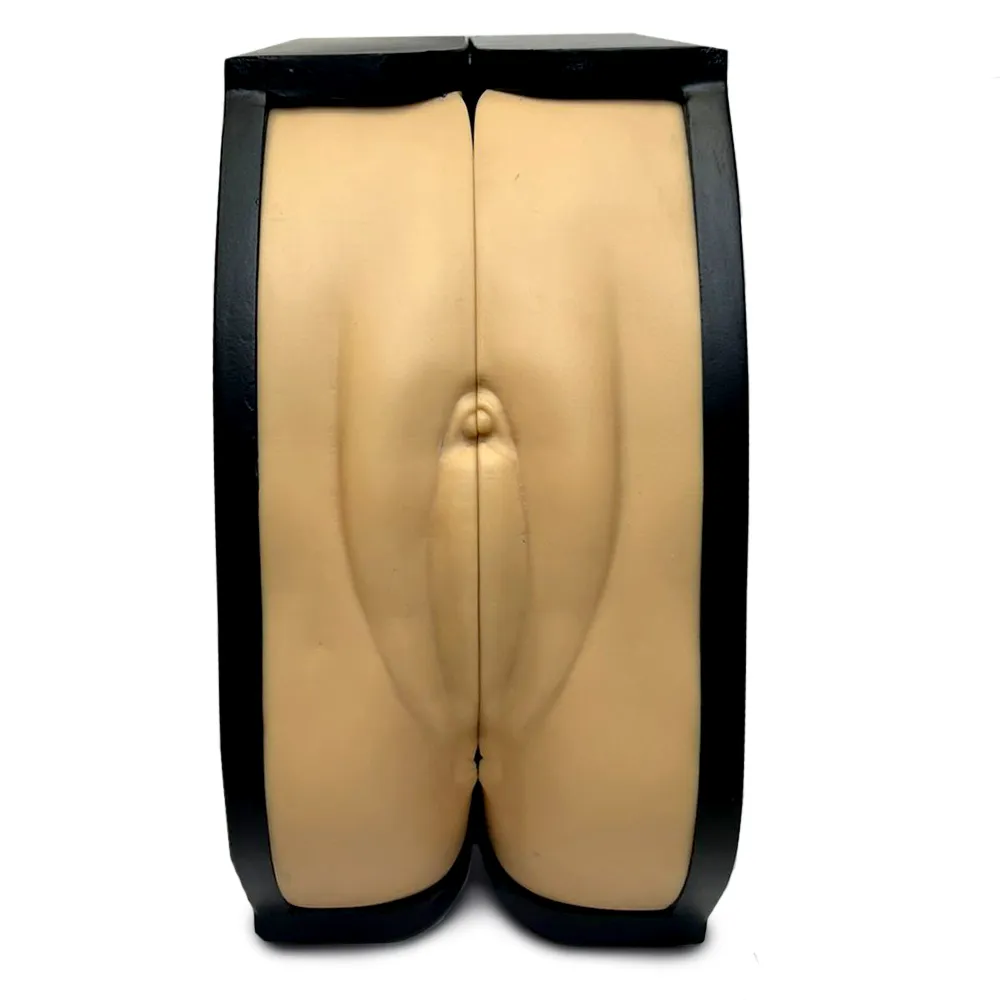 Simulador Pélvico de Treinamento Contraceptivo - Imagem 2